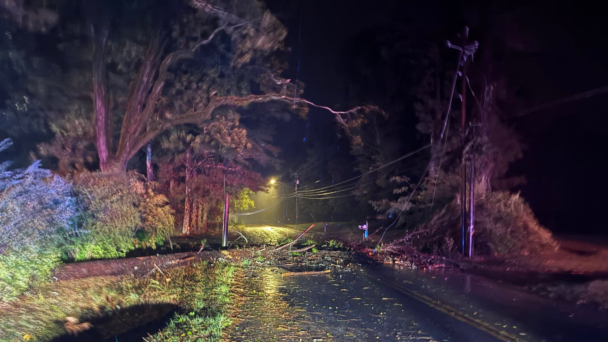 Deputy Injured by Falling Tree While Responding to Storm Damage, Crash